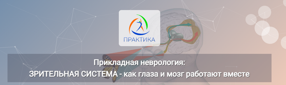 [Мария Недре] Прикладная неврология_ Зрительная си_0.png